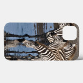 Afrika. Tanzania. Zebras drinkend bij Ndutu Case-Mate iPhone Case (Achterkant (horizontaal))