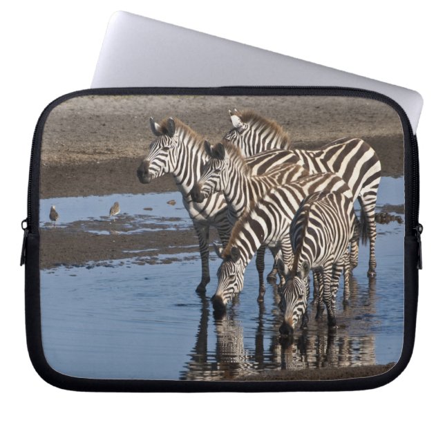 Afrika. Tanzania. Zebras drinkend bij Ndutu Laptop Sleeve (Voorkant)