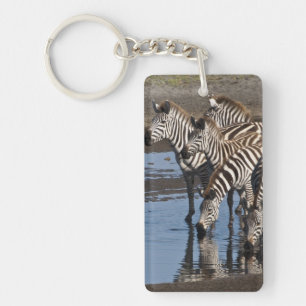 Afrika. Tanzania. Zebras drinkend bij Ndutu Sleutelhanger