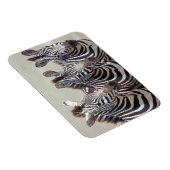 Afrika, Tanzania, zebras Magneet (Rechterzijde)
