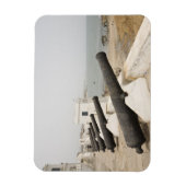 Afrika, West-Afrika, Ghana, Elmina. Kanonnen bewak Magneet (Verticaal)