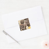 Afrika, West-Afrika, Ghana, Yendi. Close-upopname Vierkante Sticker (Envelop)