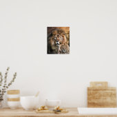 Afrika - Wilde Generaties Kunst Poster/Druk Poster (Keuken)