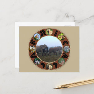 Afrika Wildlife Cirkel Elephant Herd Mist Briefkaart