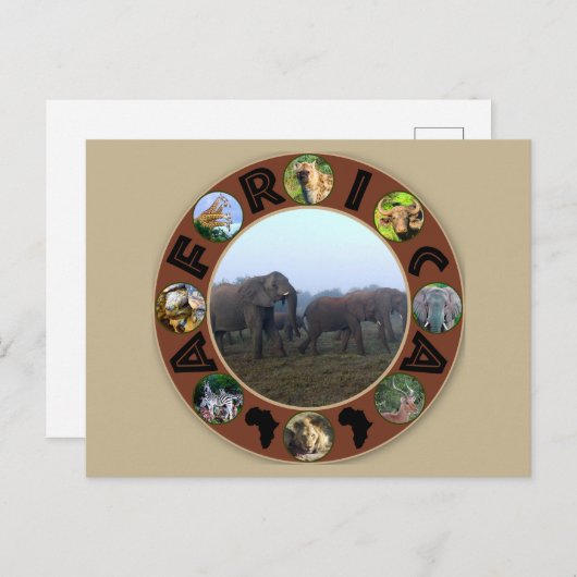 Afrika Wildlife Cirkel Elephant Herd Mist Briefkaart (Voorkant / Achterkant)