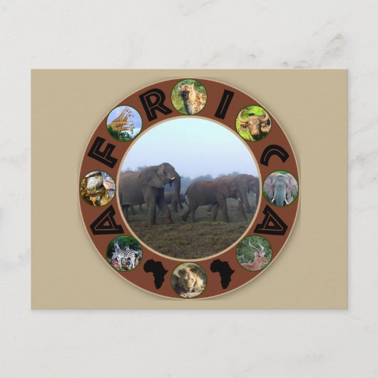Afrika Wildlife Cirkel Elephant Herd Mist Briefkaart (Voorkant)