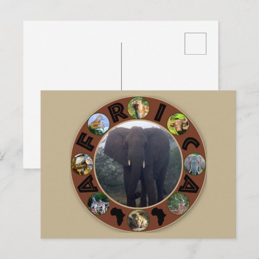 Afrika Wildlife Cirkel Elephant Mist Briefkaart (Voorkant / Achterkant)