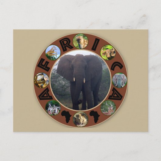 Afrika Wildlife Cirkel Elephant Mist Briefkaart (Voorkant)