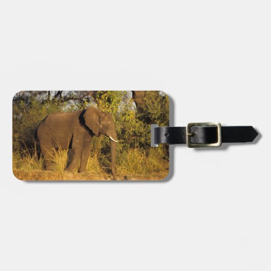 Afrika, Zimbabwe, Nationaal park Victoria Falls. Bagagelabel (Voorkant horizontaal)