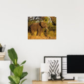 Afrika, Zimbabwe, Nationaal park Victoria Falls. Poster (Thuiskantoor)