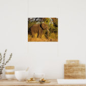 Afrika, Zimbabwe, Nationaal park Victoria Falls. Poster (Keuken)
