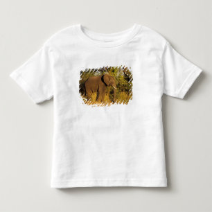 Afrika, Zimbabwe, Nationaal Park Victoriawatervall Kinder Shirts