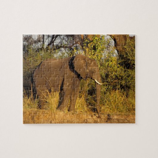 Afrika, Zimbabwe, Nationaal Park Victoriawatervall Legpuzzel (Horizontaal)