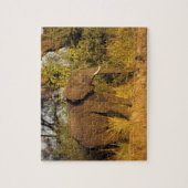 Afrika, Zimbabwe, Nationaal Park Victoriawatervall Legpuzzel (Verticaal)