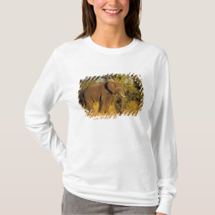 Afrika, Zimbabwe, Nationaal Park Victoriawatervall T-shirt