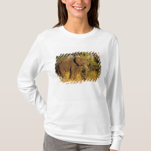 Afrika, Zimbabwe, Nationaal Park Victoriawatervall T-shirt (Voorkant)