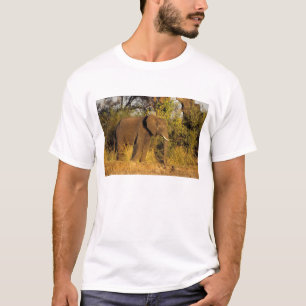 Afrika, Zimbabwe, Nationaal Park Victoriawatervall T-shirt