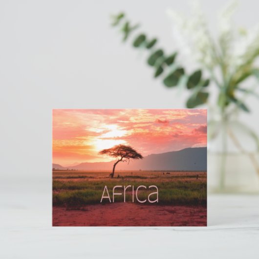 Afrika - ZonneAfrika Briefkaart (Staand voorkant)