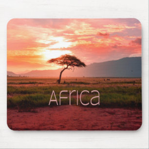 Afrika - ZonneAfrika Muismat