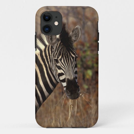 Afrika, Zuid-Afrika, Kruger NP Zebra portret Case-Mate iPhone Case (Achterkant)