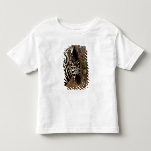Afrika, Zuid-Afrika, Kruger NP Zebra-portret Kinder Shirts (Voorkant)