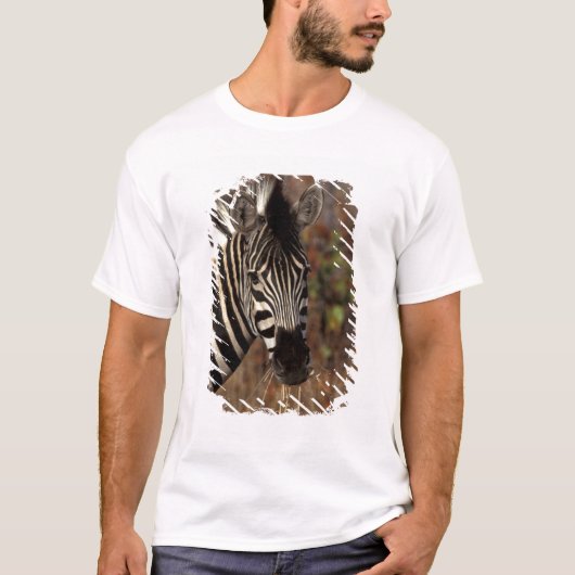 Afrika, Zuid-Afrika, Kruger NP Zebra portret T-shirt (Voorkant)