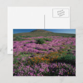 Afrika, Zuid-Afrika, Namaqualand, Oranje en Briefkaart (Voorkant / Achterkant)