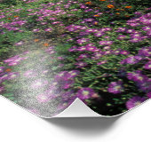 Afrika, Zuid-Afrika, Namaqualand, Oranje en Foto Afdruk (Hoek)