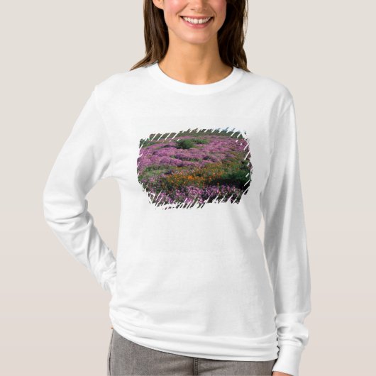 Afrika, Zuid-Afrika, Namaqualand, Oranje en T-shirt (Voorkant)