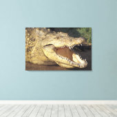 Afrika, Zuid-Afrika Nijlkrokodil Canvas Afdruk (Insitu (Houten vloer))
