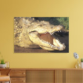 Afrika, Zuid-Afrika Nijlkrokodil Canvas Afdruk (Insitu (Woonkamer))