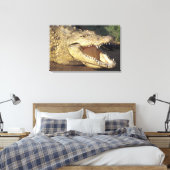 Afrika, Zuid-Afrika Nijlkrokodil Canvas Afdruk (Insitu (Slaapkamer))