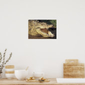 Afrika, Zuid-Afrika Nijlkrokodil Poster (Keuken)