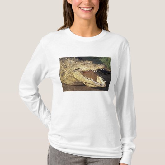Afrika, Zuid-Afrika Nijlkrokodil T-shirt (Voorkant)