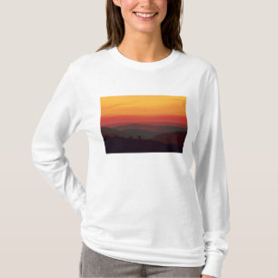 Afrika, Zuid-Afrika, Noord-Kaap provincie, T-shirt