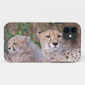 Afrika, Zuid-Afrika, Tswalu-reservaat. Jachtluipaa Case-Mate iPhone Case (Achterkant (horizontaal))