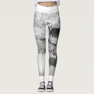Afrika - Zwart-wit - reflectie over leeuwen Leggings