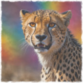 Afrikaans Cheetah Portret Sticker (Voorkant)