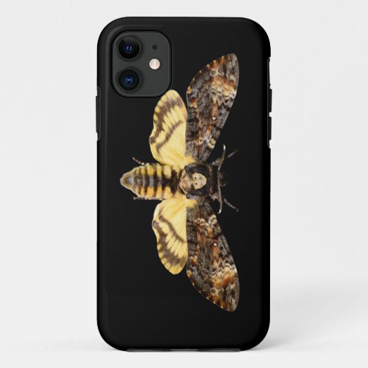 afrikaans doodskop moth butterfly insect Acheronti Case-Mate iPhone Case (Achterkant)