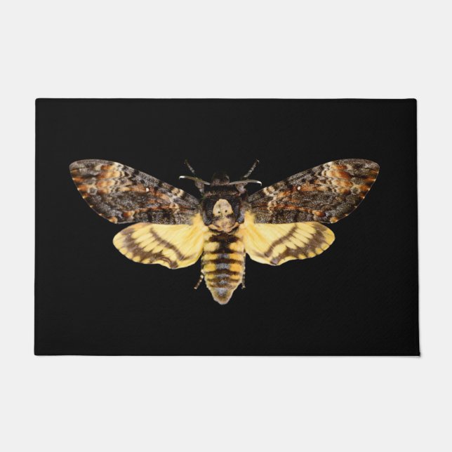 afrikaans doodskop moth butterfly insect Acheronti Deurmat (Voorkant)