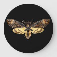 afrikaans doodskop moth butterfly insect Acheronti