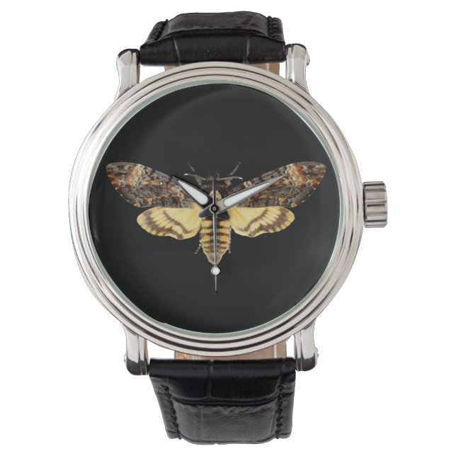 afrikaans doodskop moth butterfly insect Acheronti Horloge (Voorkant)