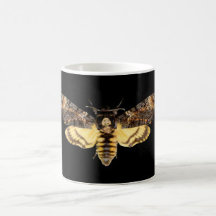 afrikaans doodskop moth butterfly insect Acheronti Koffiemok