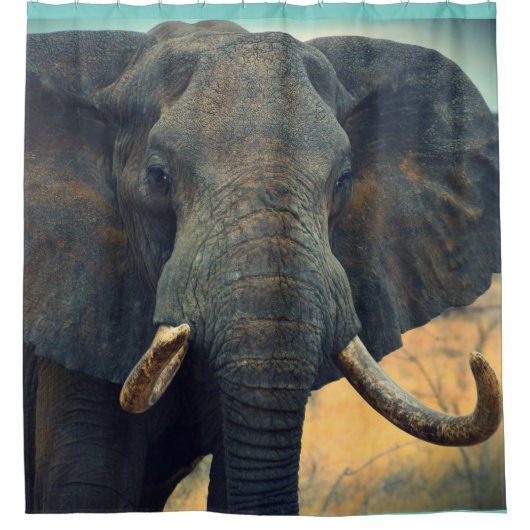 Afrikaans ellephant-schoengordijn douchegordijn (Voorkant)