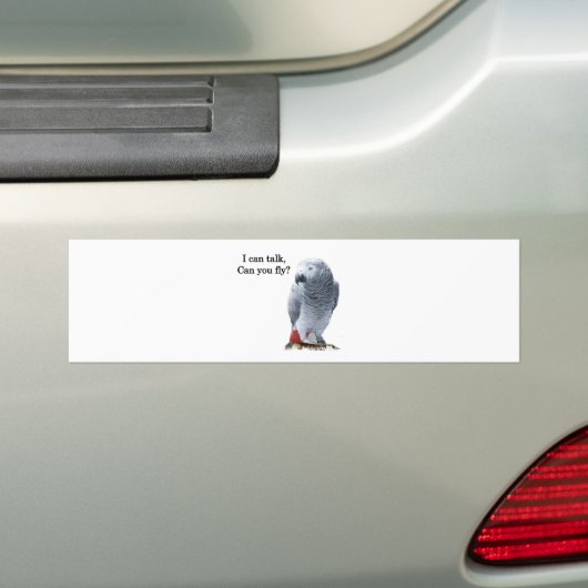 Afrikaans grijs kan ik praten, kan je vliegen? bumpersticker (Op auto)
