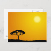 Afrikaans Landschap Briefkaart (Voorkant / Achterkant)