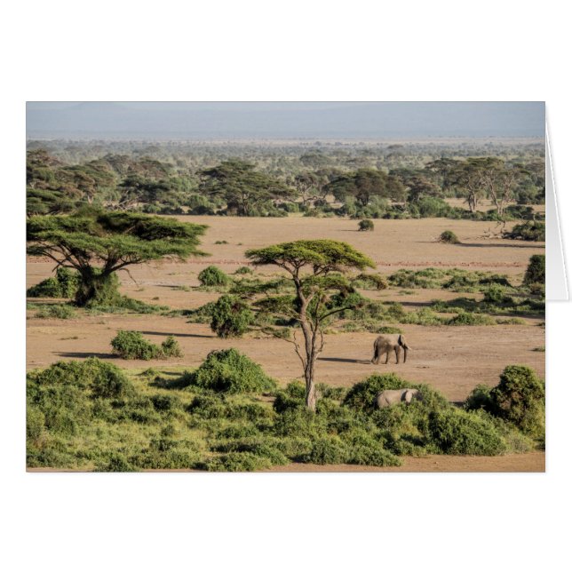 Afrikaans landschap met olifant (Voorkant Horizontaal)