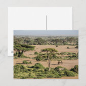 Afrikaans landschap met olifant briefkaart (Voorkant / Achterkant)