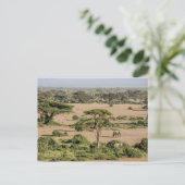 Afrikaans landschap met olifant briefkaart (Staand voorkant)