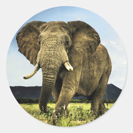 Afrikaans-olifant Ronde Sticker (Voorkant)